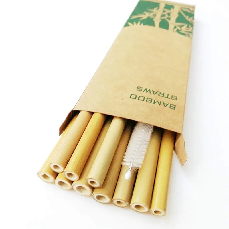 Natural Organic Reusable Bamboo Straw Set